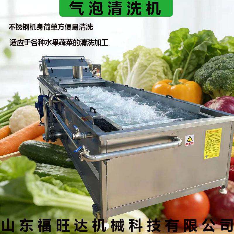 福旺达全自动洗菜机水果蔬菜气泡清洗机西红柿鼓泡式清洗设备