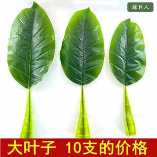 舞臺(tái)道具拍照大號(hào)仿真芭蕉樹(shù)葉綠巨人手感過(guò)膠假香蕉葉室內(nèi)裝 飾葉