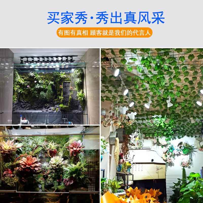 真彩50W红绿蓝混彩室内植物生长灯LED水陆缸生态水族射灯轨道灯