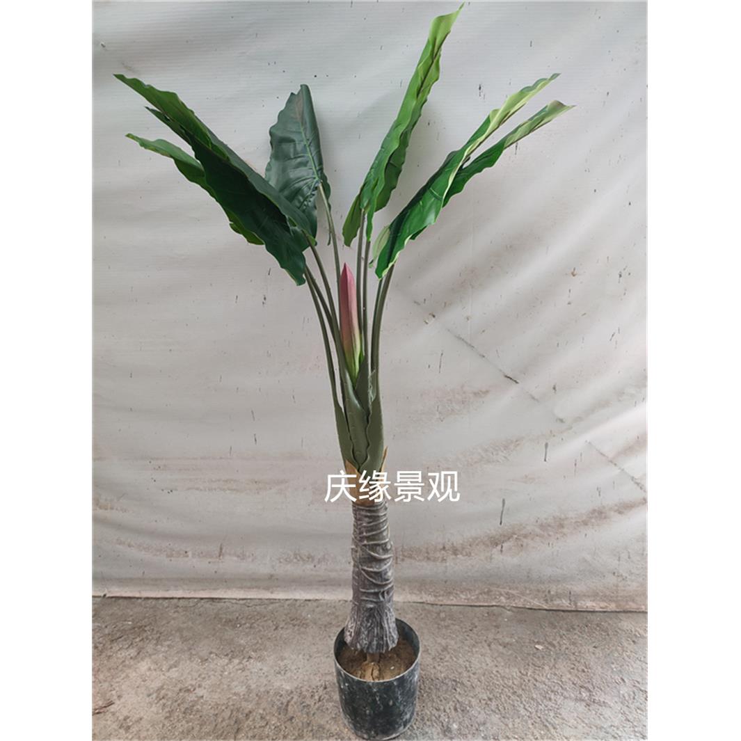 仿真水芋彩虹芋仙芋盆栽假植物落地农家乐田园风别墅庭院室内商场
