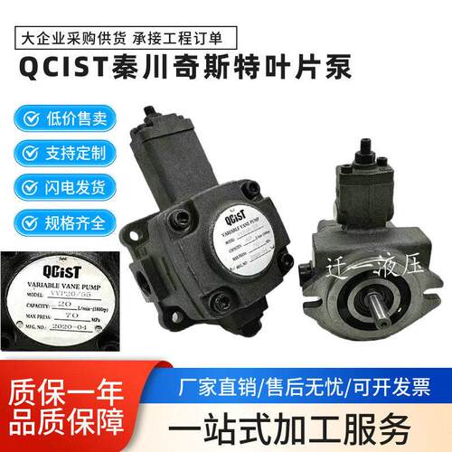QCIST秦川奇斯特VVP20B/55 VVP30B/35 VVP40B/70叶片油泵VV15B/20