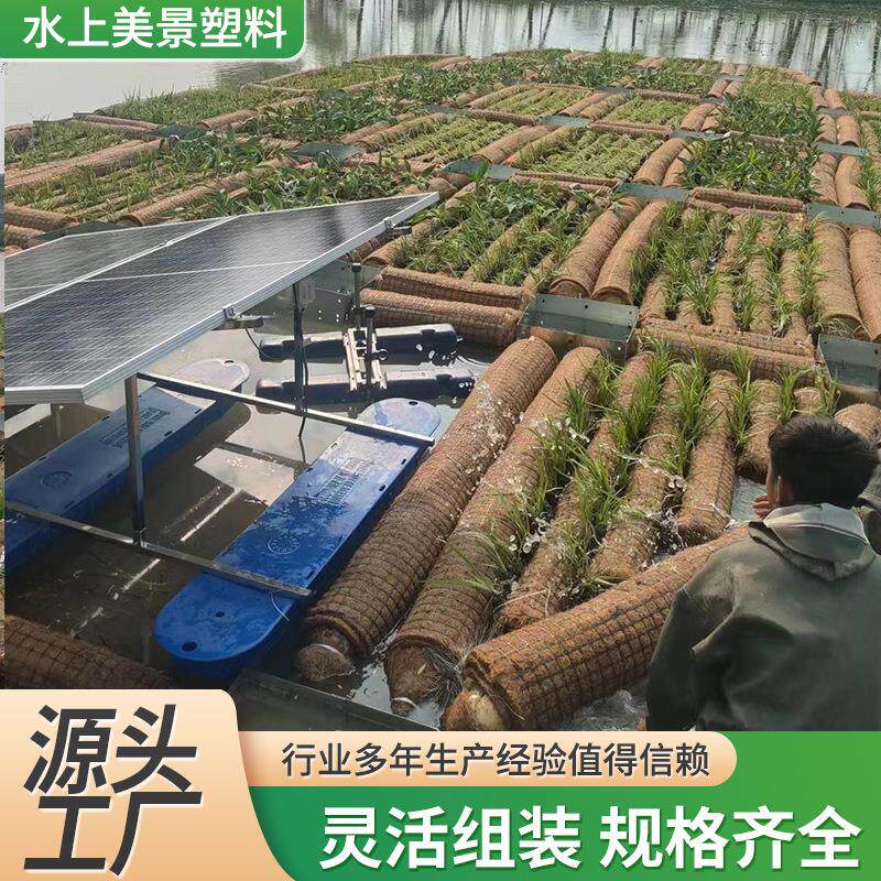 水上种植浮排浮床复合生态浮岛承接园林工程水生植物河道修复绿植