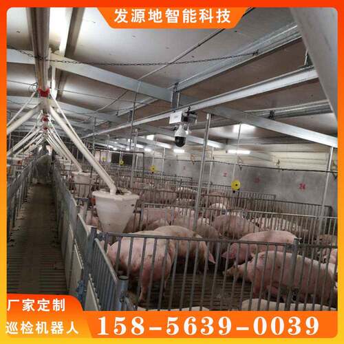 农业大棚猪舍巡检机器人升压站巡检机器人配电柜巡检机器人