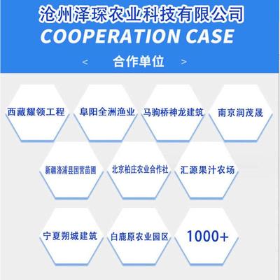 温室大棚骨架 冷棚暖棚插地棚 农业畜牧养殖棚 户外镀锌管大棚