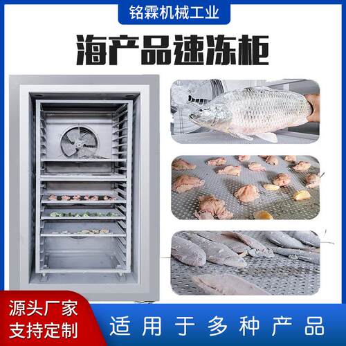 速冻机商用冰箱急冻冰柜超低温冷柜小型冷冻库插盘式制冰机大容量