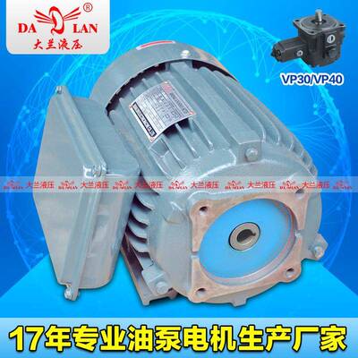 220V单相内轴液压电机单相VP30油泵电机YT100L-4-2.2W