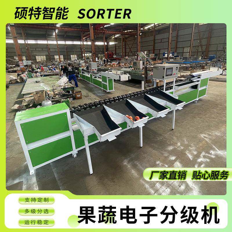 脐橙沃柑打蜡自动称重分选线苹果清洗风干重量选果分拣机
