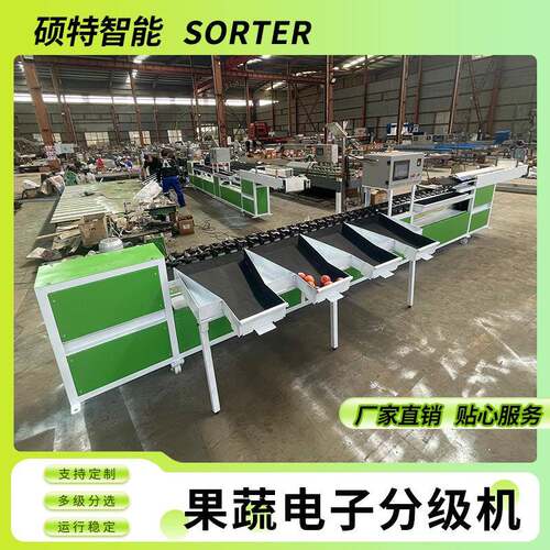 脐橙沃柑打蜡自动称重分选线苹果清洗风干重量选果分拣机