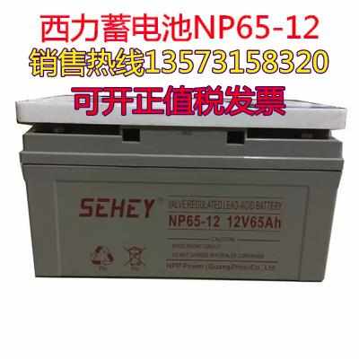 SEHEY西力蓄电池NP100-12现货供应12V100AH 免维护胶体蓄电池机房