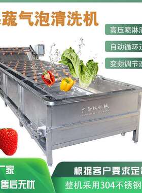 全自动果蔬气泡清洗机粽叶黄瓜芹菜橘子圣女果清洗机连续洗菜机