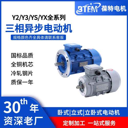 三相异步铝壳电机铁壳马达RV速电机YS.Y2.YX系列变频调速电机