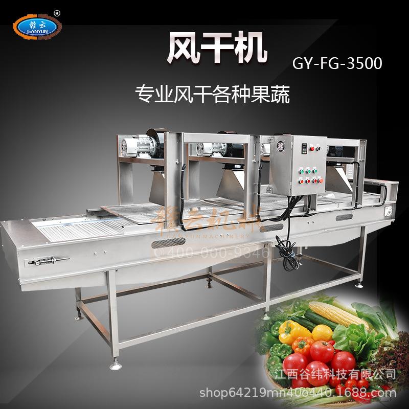 牌果蔬清洗风干线商用全自动多功能调速叶菜辣椒震动沥水设备