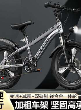 DM自行车儿童6到8-10-12-15岁中大童男小孩单车山地成人学