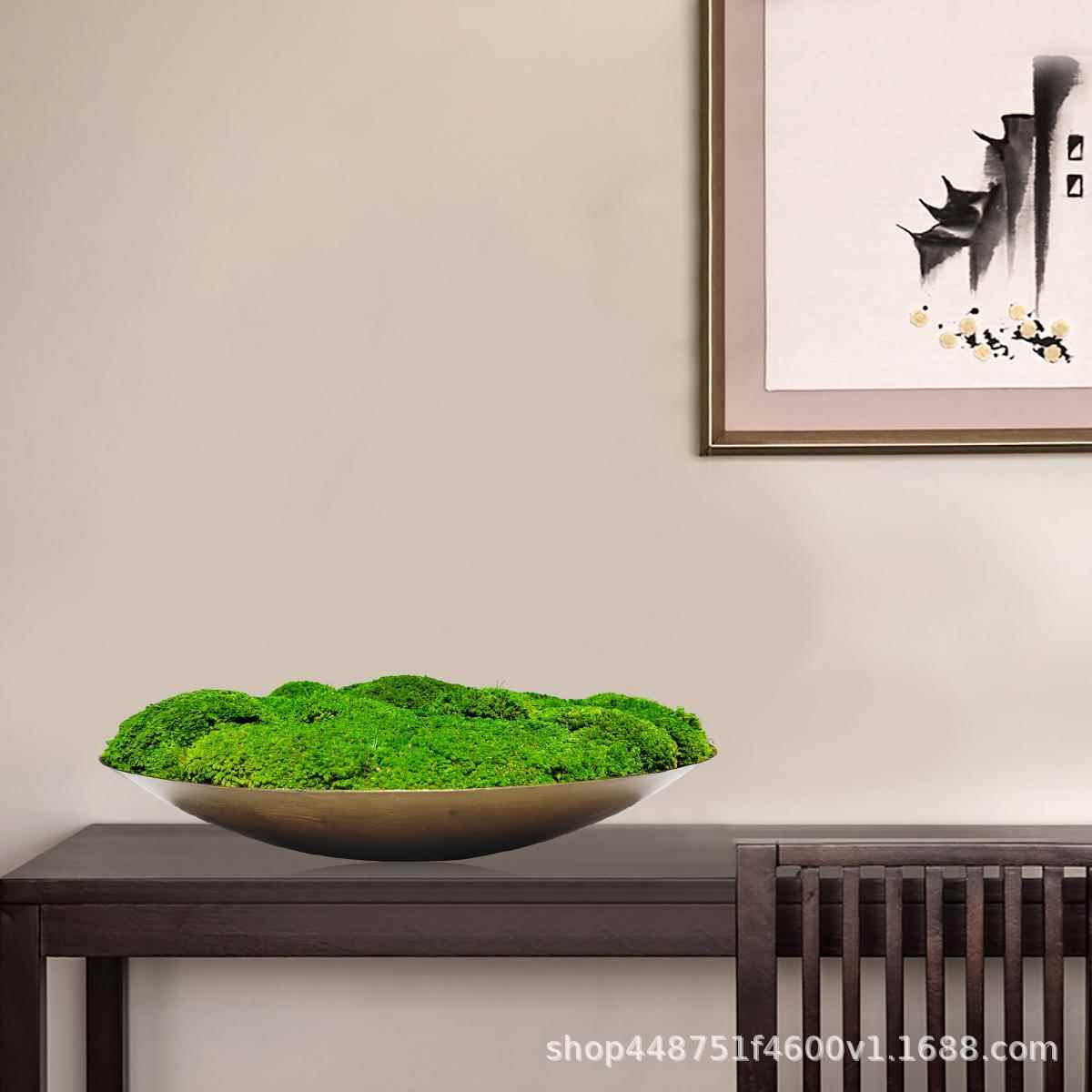 板新式仿真绿植摆设永生苔藓1119盆景样洽谈桌中植物装饰桌面花房