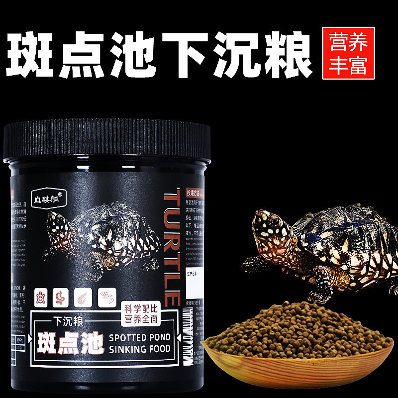 小乌龟斑点斑点池龟观赏鱼饲料