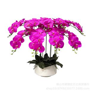 蝴蝶兰仿真花高品质酒店大堂花卉客厅电视两边入户门走廊玄关