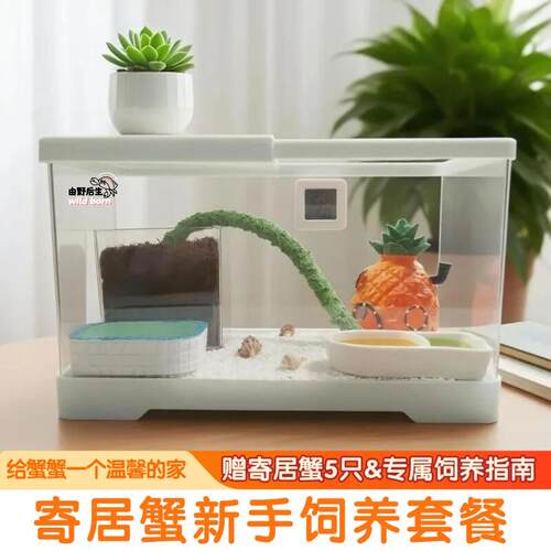 寄居蟹饲养箱豪华新手套装生态饲养缸小型造景爬宠盒儿童礼物客厅