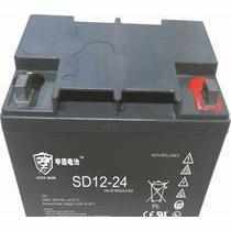 申盾蓄电池阀D122-4 12V24AH ups电源S铅酸UXE免维护密封控全国包