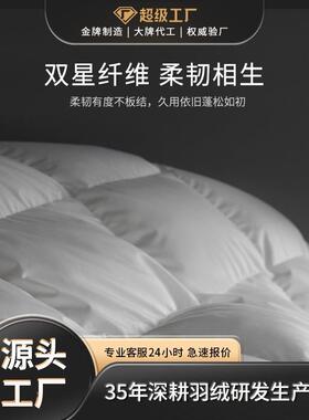 现货90白鹅绒高奢零压舒睡锁温超厚保暖羽绒被柔赛丝被芯秋冬