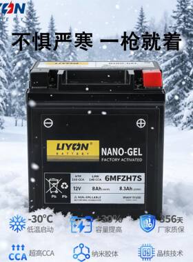 力扬电池无极原厂150/250GT/300/500RR/CU525/650AC通用摩托电瓶
