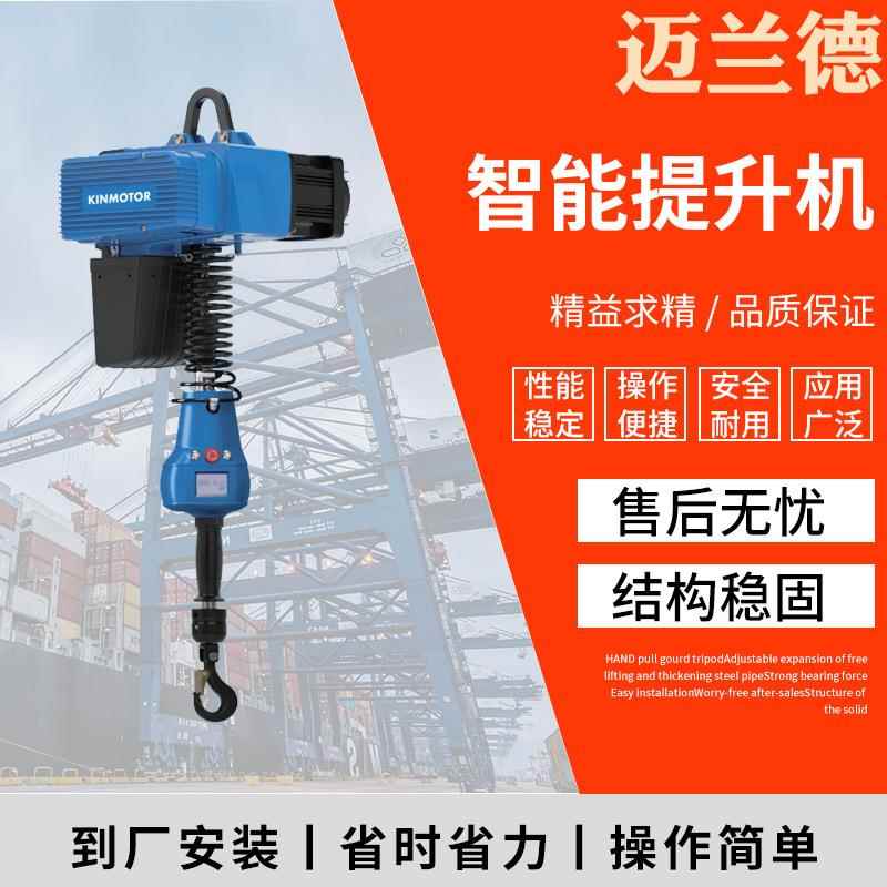 D系列平衡吊智能提升机轻型电动环链葫芦250kg500kg