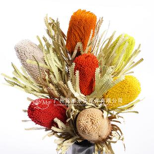 【南非班克木】diy干花佛塔贝克斯花束客厅摆件永生花材料