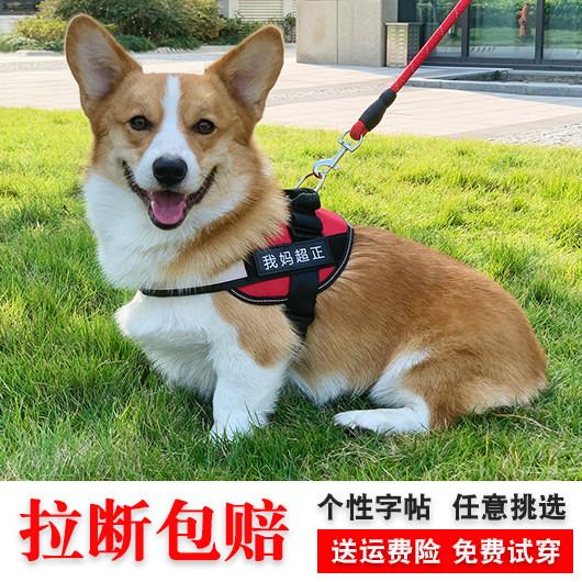 遛狗绳背心式狗狗牵引绳金毛狗链子马犬专用大中型犬可调节胸背带