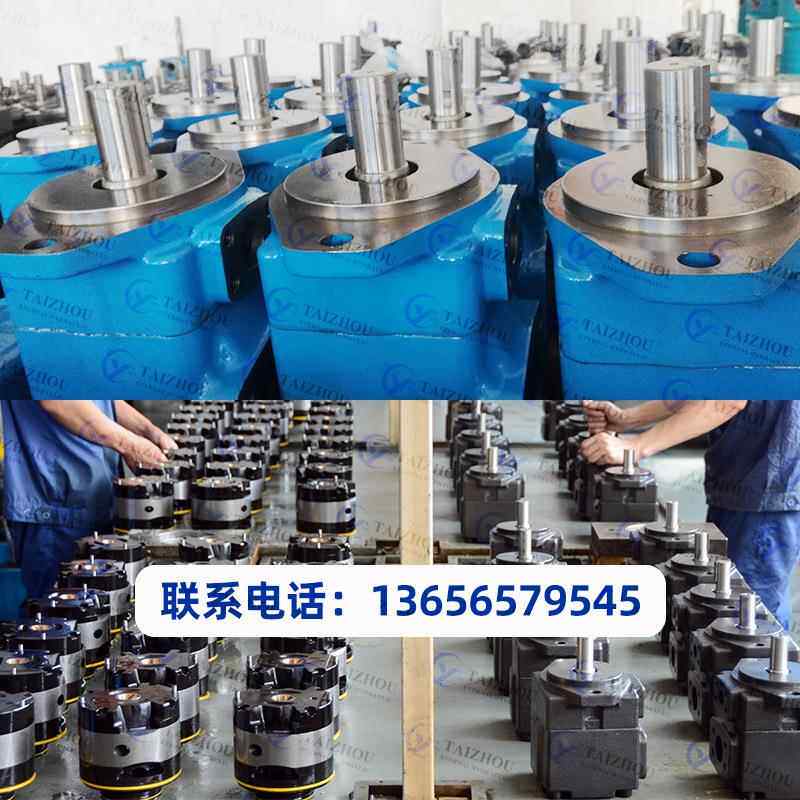 威格士双联叶片泵V/VQ系列液压油泵带泵芯20/25/35/45可做三联泵