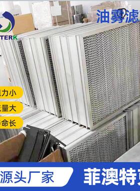 油雾滤芯 92110702 Filter stage1 S1/650 DB  For Asmoke20