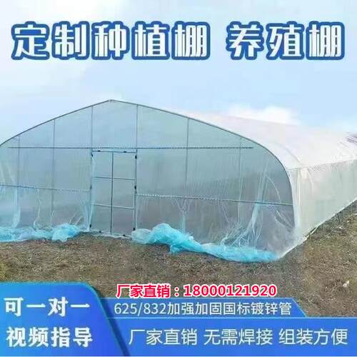 蔬菜养殖大棚骨架钢管椭圆连身栋智能玻璃温室保温种植养鸡猪全套