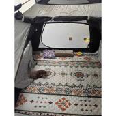 新品 2.4X2.4米野餐垫户外加厚防水防潮地垫240X240帐篷沙滩野炊垫