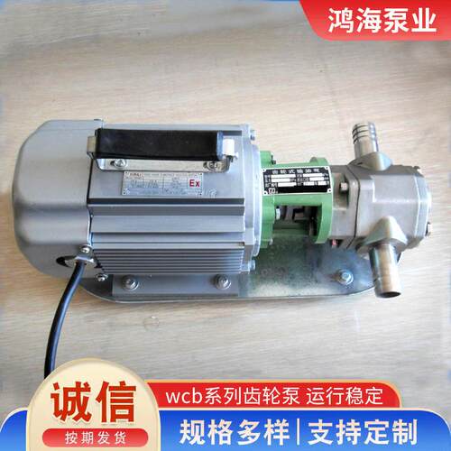 wcb齿轮泵不锈钢手提泵自吸抽油泵小流量220V便携式高效自吸