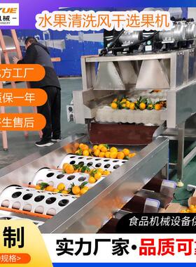 火龙果清洗风干沃柑毛刷洗果机水果洗果保鲜设备森岳机械打蜡
