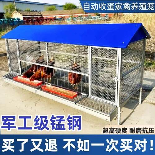 尖顶户外养鸡棚养鸡笼子家用养殖笼鸡鸭兔笼自动收蛋防鼠蛇不生锈
