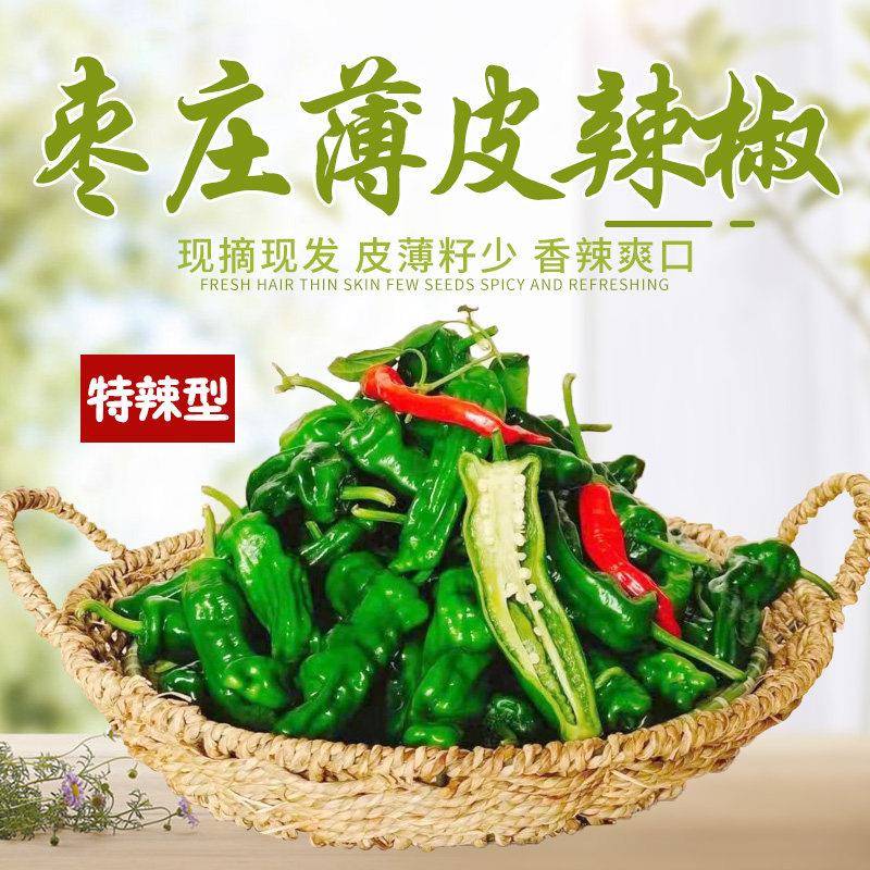 山东枣庄薄皮辣椒新鲜蔬菜现摘本地小皱皮炒肉青红辣椒螺丝椒特辣