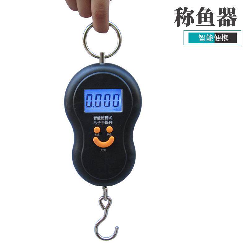 傲湖多功能手提电子称路亚称鱼器拉力称钓鱼电子称渔具小工具