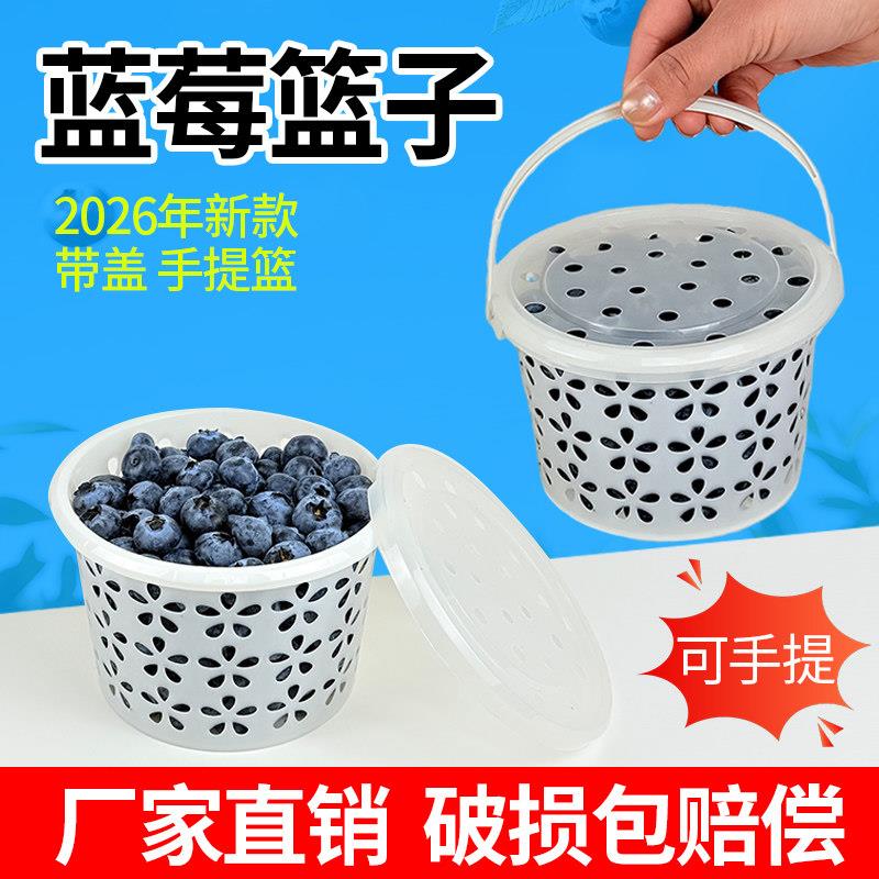 塑料白色小圆篮樱桃蓝莓篮子1斤2斤带盖手提收纳采摘小圆桶包装篮