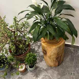 原木墩香木樟树墩树桩木凳坐凳子花架根雕桩茶几实木大底887座子