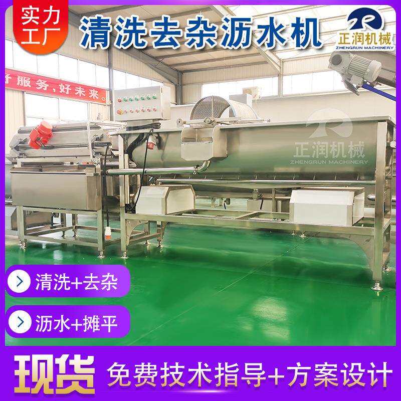 商用黄桃片GXE清冻干果涡流无损洗果机全自水动机车厘子洗清洗机