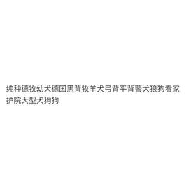 纯种德牧幼犬德国黑背牧羊犬弓背平背警犬狼狗看家护院大型犬狗狗