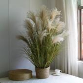 芦苇干 干天然芦苇假草彷真假花绿植假树家居摆设店铺 干燥花风干