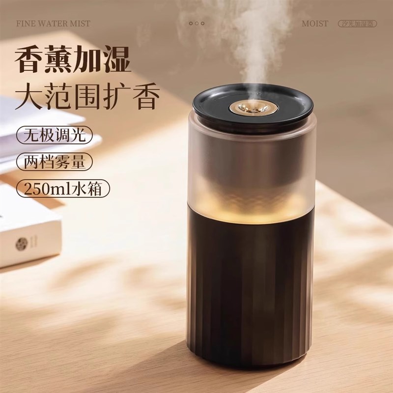 新款加湿器小型迷你车载家用空气补水喷雾夜灯桌面便携充电款