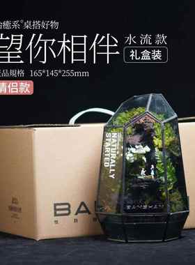 正品BAN植HAN小森林流水面物雨林缸家居网红小众定制摆件桌解压S