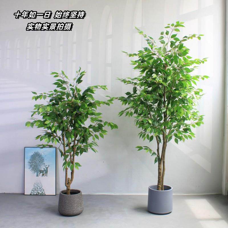 高端彷真绿色植物榕树高端轻奢彷生植物盆栽假树客厅落地大型摆件