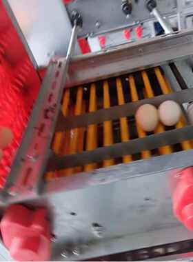 养鸡场自动叠料3层4喂层PWL小层叠蛋鸡笼层式自动捡全蛋清粪养殖