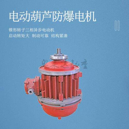 BZD11-4/KW防爆电动葫芦电机防爆锥形转子电机