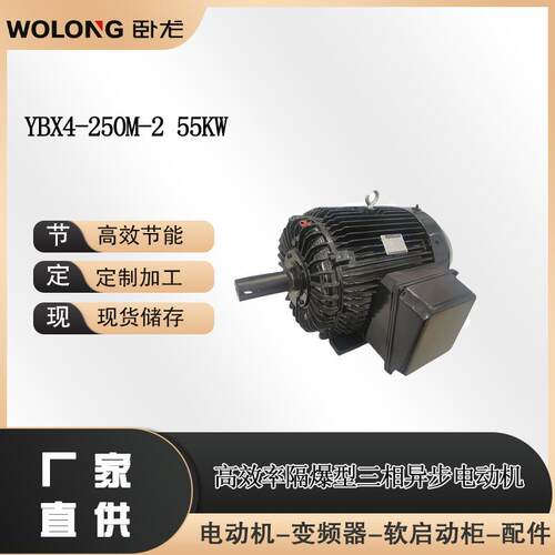 YBX4-250M-255W隔爆型BT4CT4200V~720V50Hz防爆高压电机