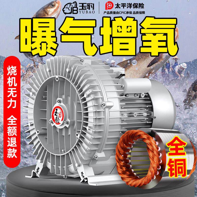 大功率高压漩涡通风机强力工业鼓风机旋涡式气泵罗茨涡轮鱼塘增氧