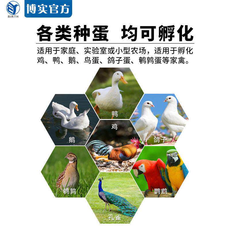 鸡鸭鹅孵蛋器鸽子孵化器自动小型家禽家用全自动迷你孵化机
