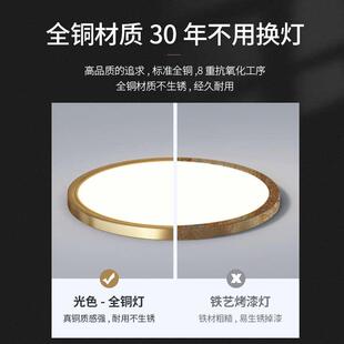 2022新款超薄全铜吸顶灯led超亮防蚊虫防潮三色遥控阳台卧室灯具